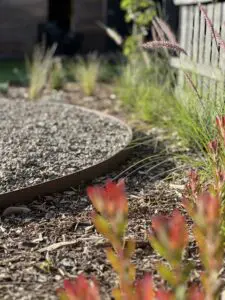 Low maintenance garden ideas for beginners