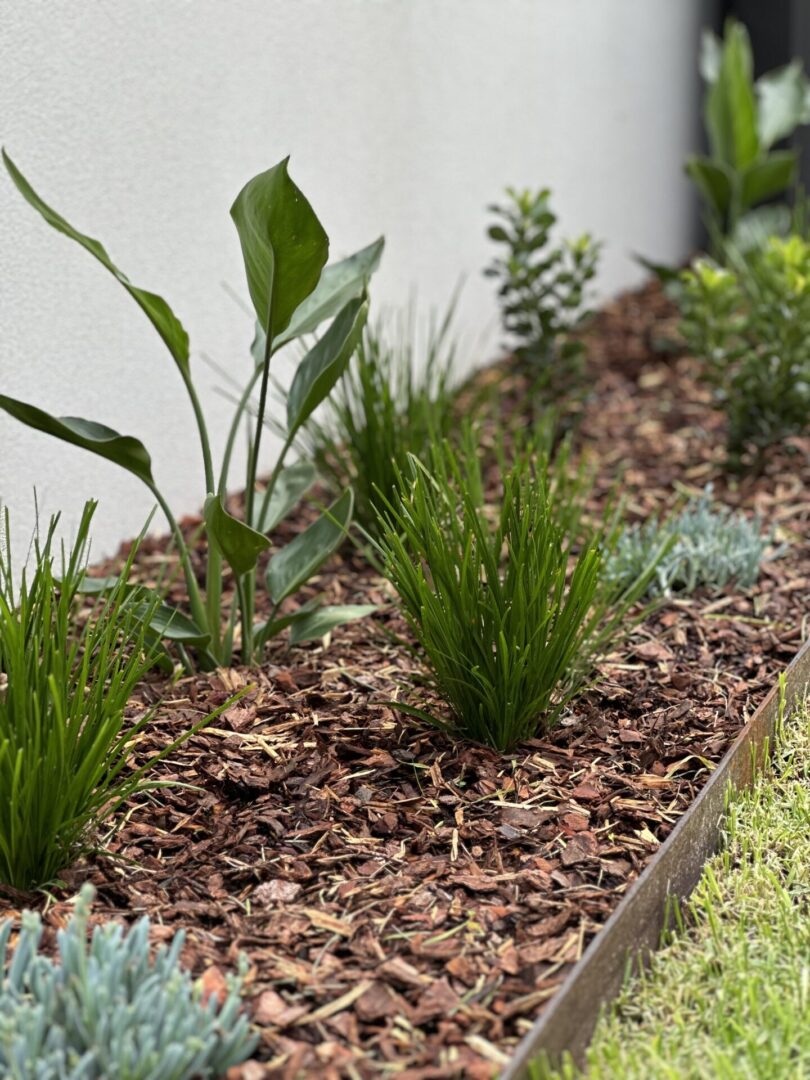 Small Backyard Landscaping Idea