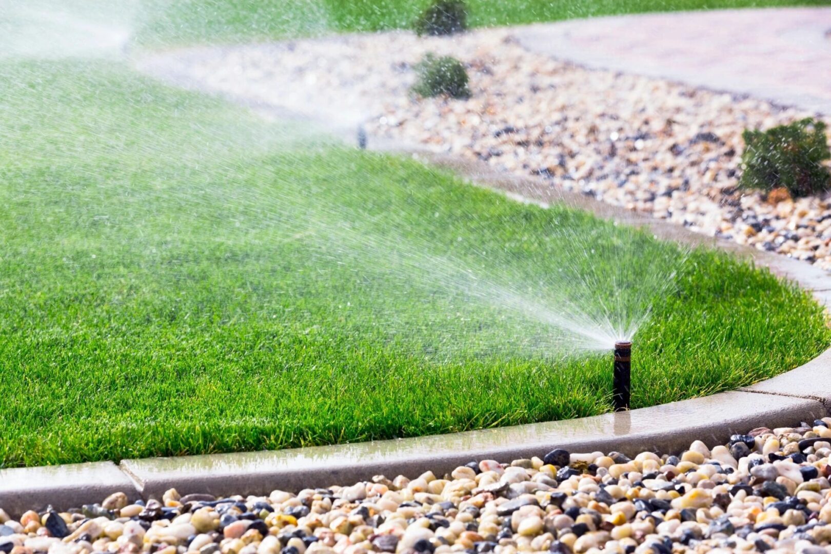 Discover the best irrigation systems for Mornington Peninsula gardens. Learn about drip irrigation & sprinklers