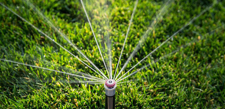 Best Irrigation Systems for Aussie Lawns | Elysian™