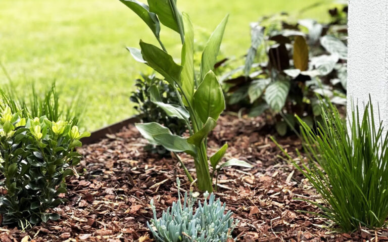 Low maintenance garden ideas