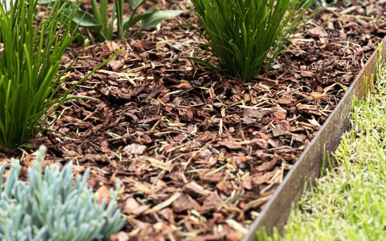 Landscaping Ideas for Small Backyards