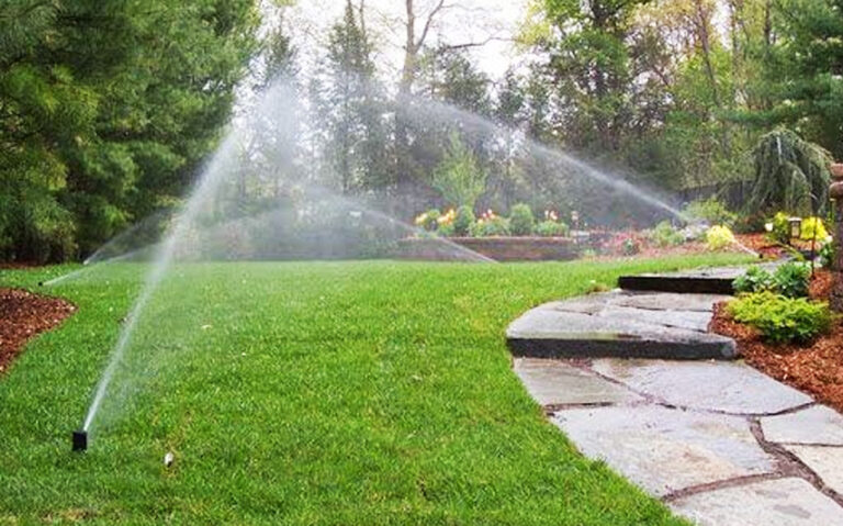 Designing Low-Maintenance Gardens for Bayside and the Mornington Peninsula Homes